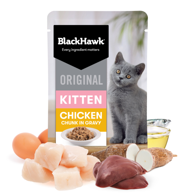Black Hawk Original Kitten Chicken in Gravy Bulk Wet Cat Food Bundle