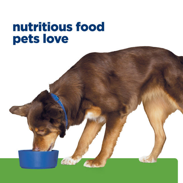 Hill's Prescription Diet Metabolic Weight Loss & Maintenance Dry Dog Food - Product Image 11