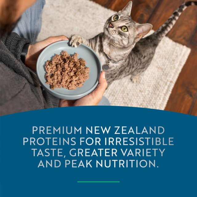 ZIWI Peak Lamb & Venison Wet Cat Food - Product Image 8