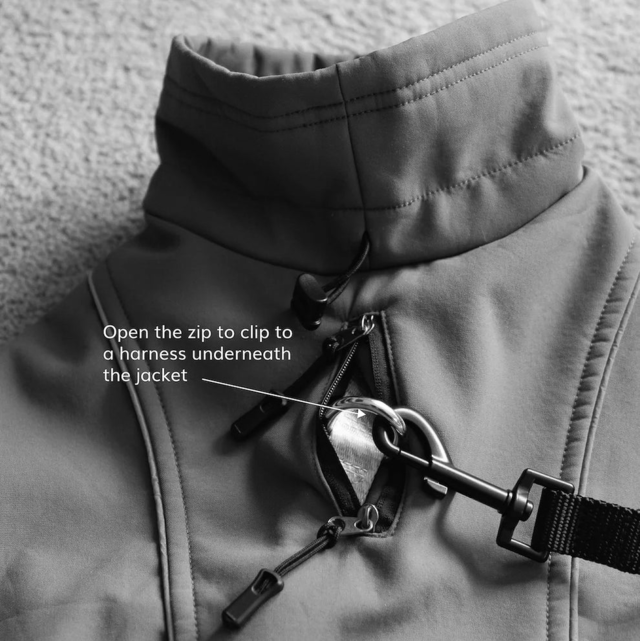 Pointer & Hound Waterproof Dog Jacket  - Product Image 9