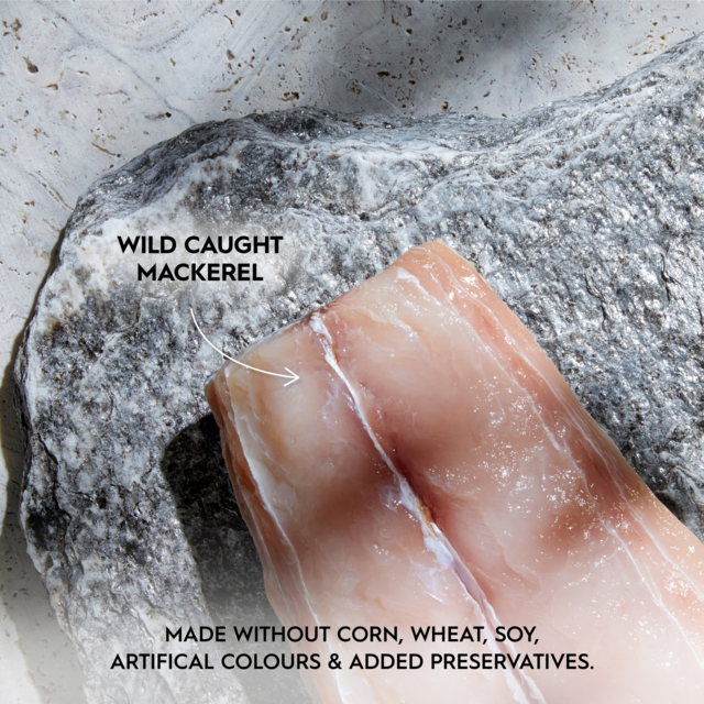 Trilogy Mackerel in Bone Broth Adult Wet Cat Food - Product Image 6