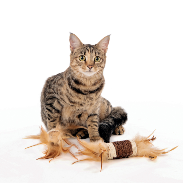 M-PETS Natura Raffia Rolls Cat Chaser Toy - Product Image 1