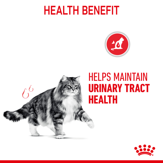 Royal Canin Urinary Care Dry Cat Food Trial Bag - Product Image 2