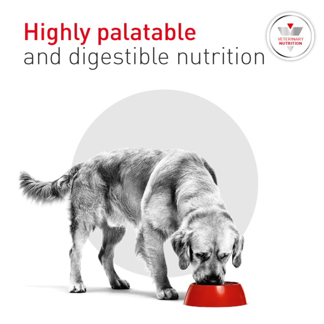 Royal Canin Vet Glycobalance Dry Dog Food - Product Image 5