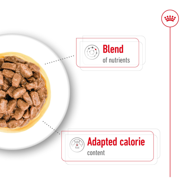 Royal Canin Mini Ageing Chunks In Gravy Pouch Wet Dog Food - Product Image 3
