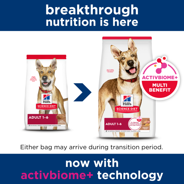 Hill's Science Diet Adult Dry Dog Food - Product Image