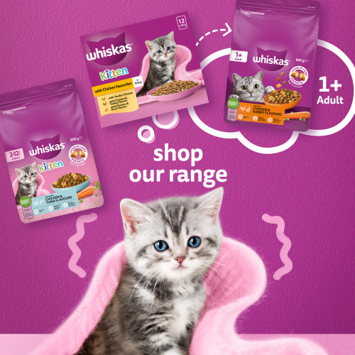 Whiskas Kitten Chicken & Tuna Dry Cat Food - Product Image 5