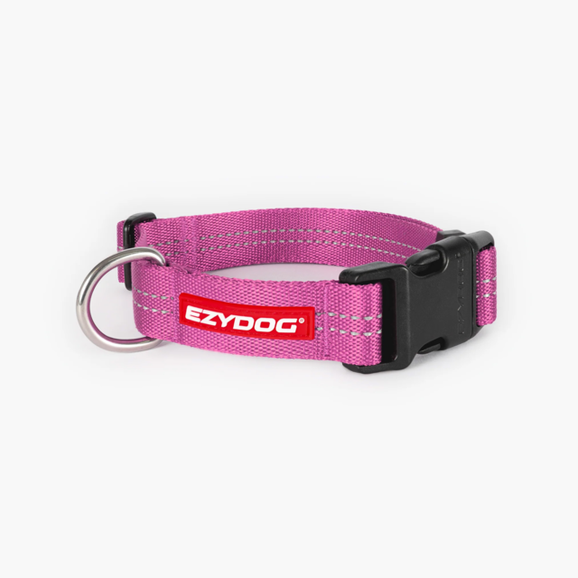 EzyDog Essential Adjustable Collar  - Product Image 4