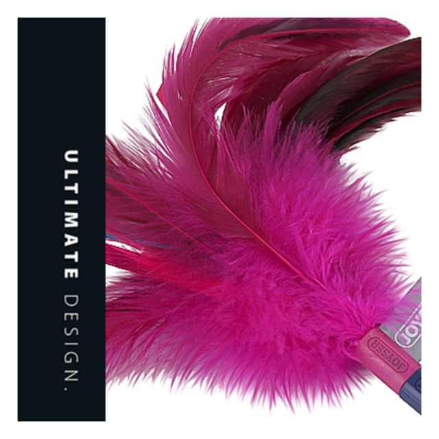 JOYSER Feather Teaser Cat Wand - Product Image 6