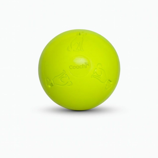 Company of Animals Coachi Boomi Ball Dog Toy - Product Image 3