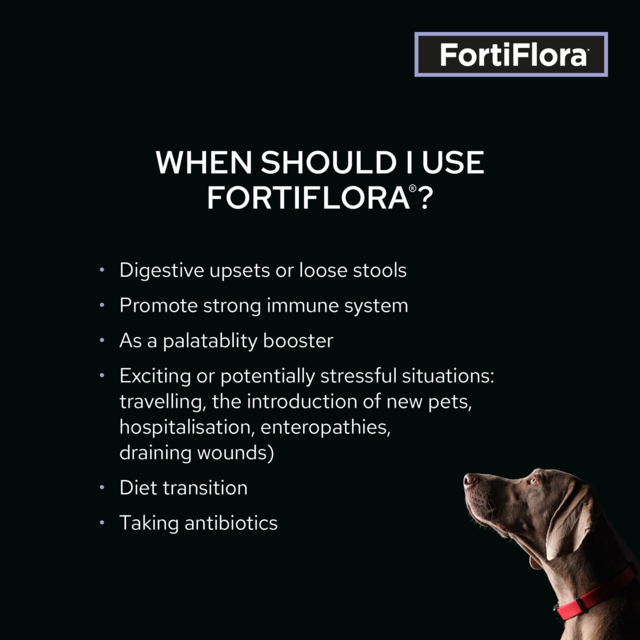 PRO PLAN Veterinary Diet FortiFlora Dog Probiotic Supplement - Product Image 2