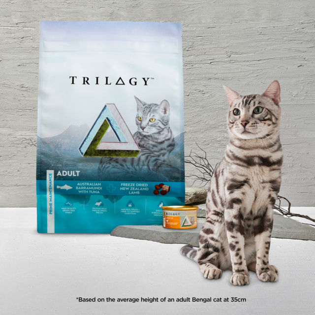 Trilogy Chicken in Bone Broth Adult Wet Cat Food - Product Image 9