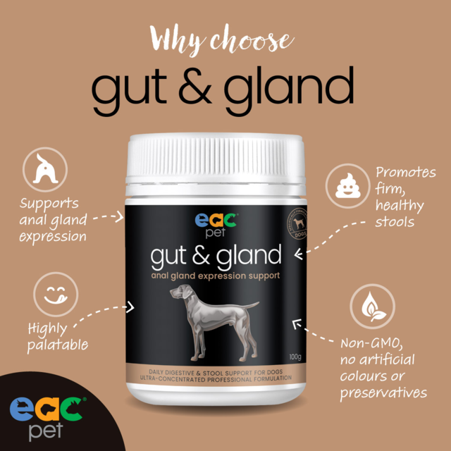 EAC Animal Care Gut & Gland Anal Gland Expression Support for Dogs - Product Image 4