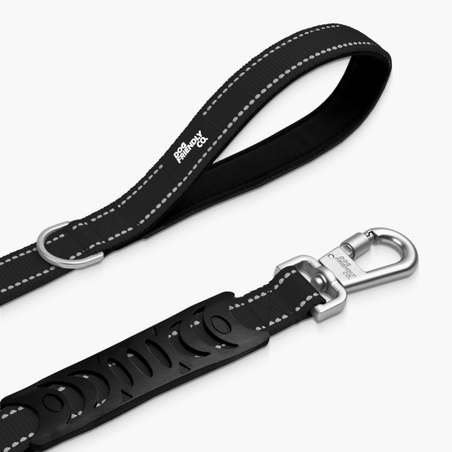 Dog Friendly Co.Bungee Dog Leash - Product Image 2