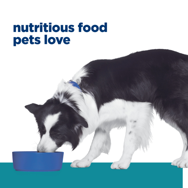 Hill's Prescription Diet t/d Dental Care Dry Dog Food - Product Image 10