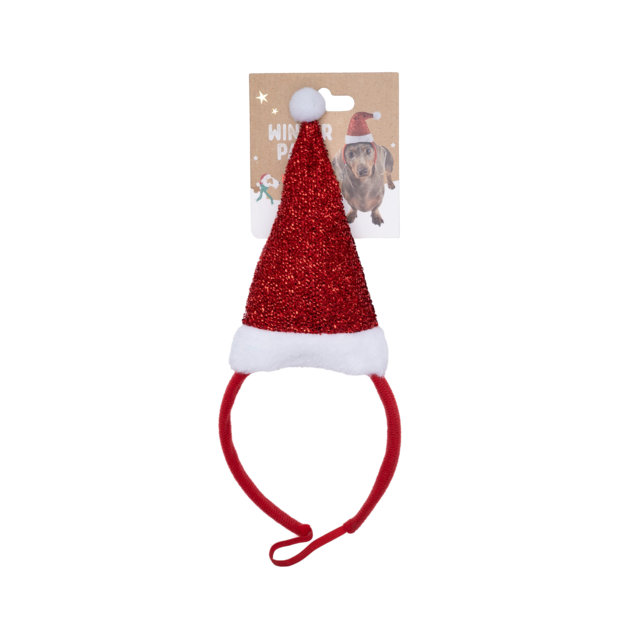 Winter Paws Christmas Santa Dog Costume Headband - Product Image 0