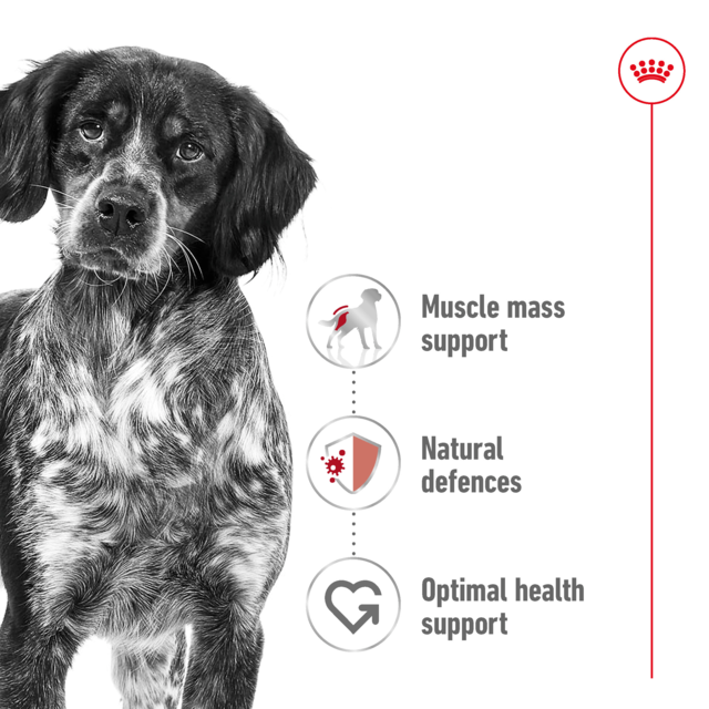 Royal Canin Medium Adult Dry Dog Food - Product Image 2