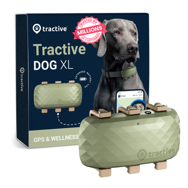 Tractive Dog XL GPS Tracker - Product Image 0