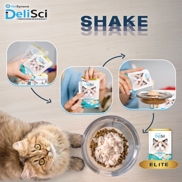 VetSynova DeliSci Elite Seabass Serenade in Broth Wet Cat Food Topper - Product Image 4