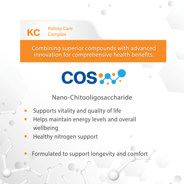 VetSynova VF+ Core KC Kidney Care Complex Cat Supplement - Product Image 5