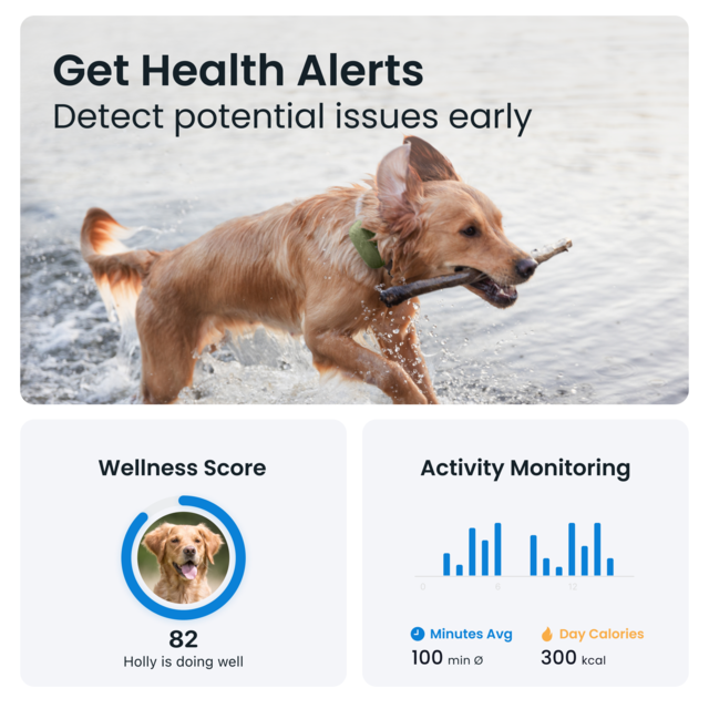 Tractive Dog XL GPS Tracker - Product Image 6