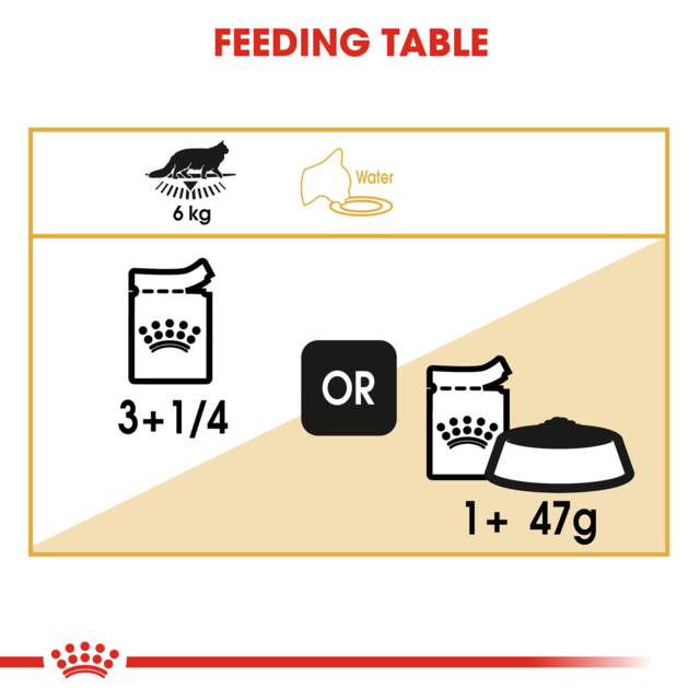 Royal Canin Maine Coon Adult Wet Cat Food - Product Image 6