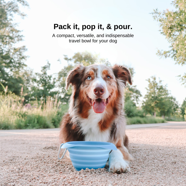 Kurgo Collaps-a-Bowl - Product Image 2