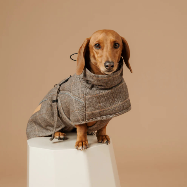 Pointer & Hound Highland Dog Coat  - Product Image
