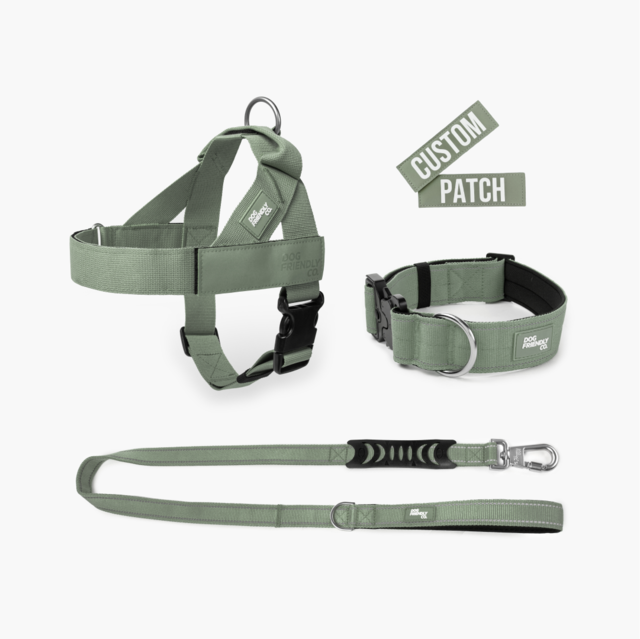 Dog Friendly Co. Premium Dog Lovers Pack  - Product Image 0