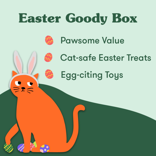 PetDirect Goody Box Easter for Cats - Product Image 2