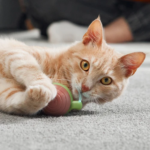 Cheerble Wicked Snail Smart Cat Toy - Product Image 6