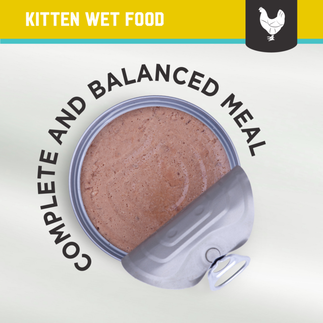 Kiwi Kitchens Chicken & Mussel Kitten Wet Cat Food - Product Image 9