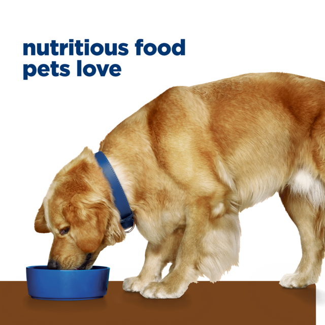 Hill's Prescription Diet j/d Joint Care Dry Dog Food - Product Image 14