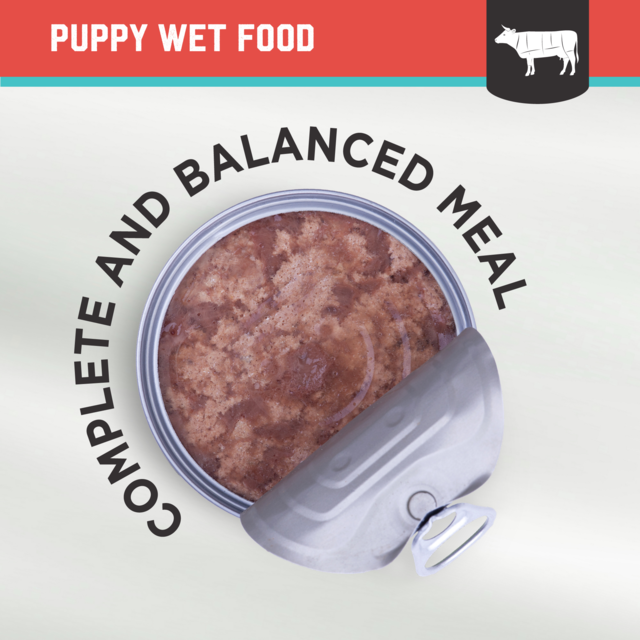 Kiwi Kitchens Beef & Mussel Puppy Wet Dog Food - Product Image 9