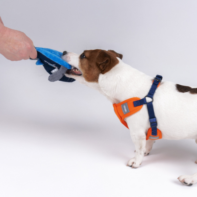 JOYSER Mightus Whale with Squeaker Dog Plush Toy - Product Image 4