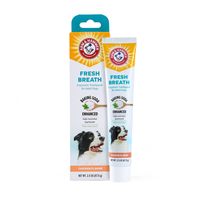 Arm & Hammer Fresh Breath Chicken Enzymatic Toothpaste for Dogs - Product Image 1