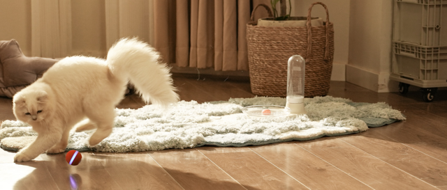 Cheerble Wicked Ball Duo 2 Smart Cat Toy - Product Image 14