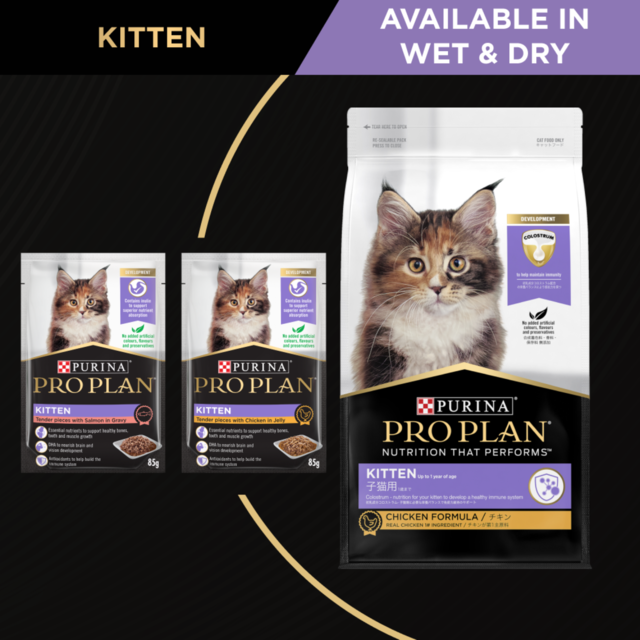 Pro Plan Kitten Chicken Dry Cat Food - Product Image 4