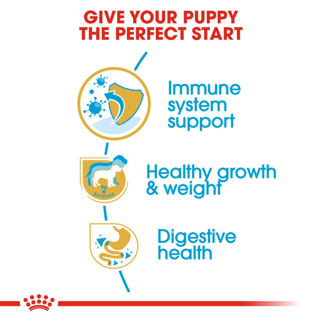 Royal Canin Labrador Retriever Puppy Dry Dog Food - Product Image 4