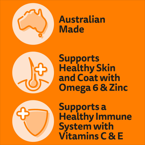 Whiskas Adult Chicken & Rabbit Dry Cat Food - Product Image 1