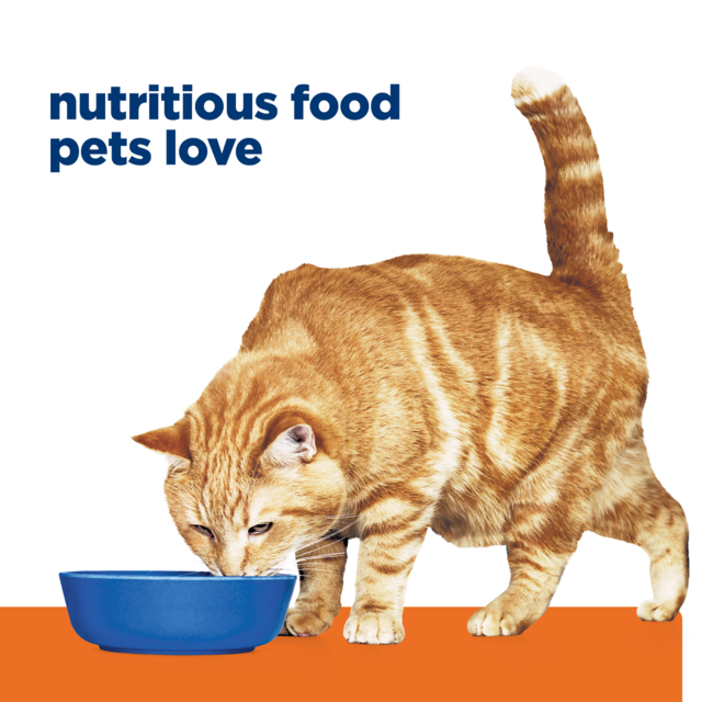 Hill's Prescription Diet c/d Multicare Urinary Care Chicken Dry Cat Food - Product Image 13