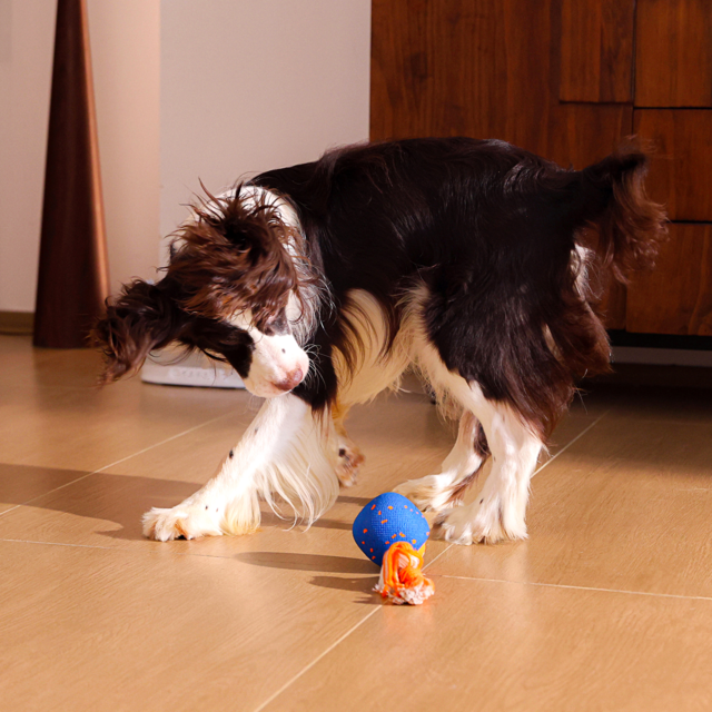 Cheerble  Wicked Ball Rolly Smart Dog Toy - Product Image 11