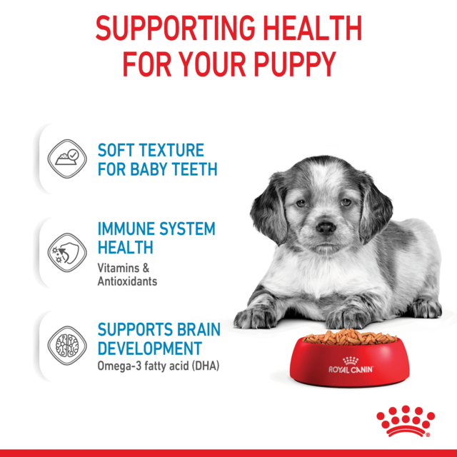 Royal Canin Medium Puppy Wet Food - Product Image 4