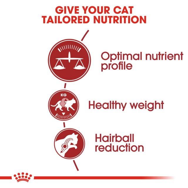 Royal Canin Fit Dry Cat Food - Product Image 2