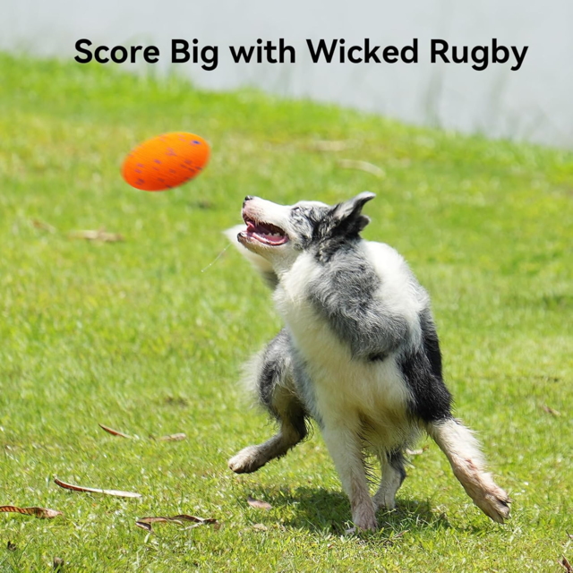 Cheerble Wicked Rugby Smart Dog Toy - Product Image 6