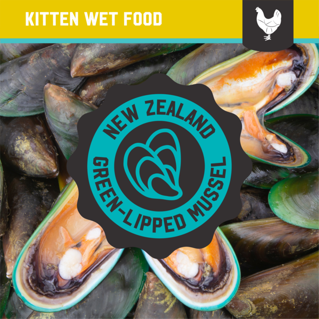 Kiwi Kitchens Chicken & Mussel Kitten Wet Cat Food - Product Image 7
