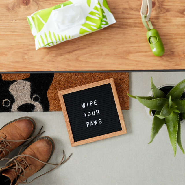 Earth Rated Compostable Dog Wipes - Product Image 6