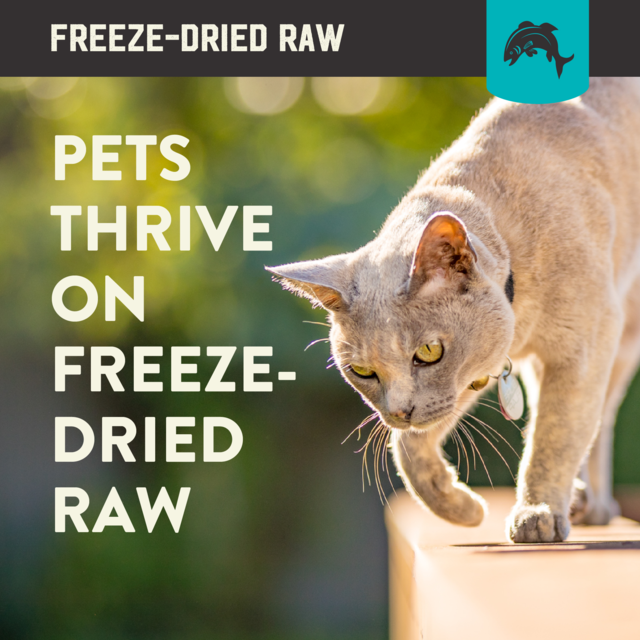 Kiwi Kitchens Fish Freeze Dried Cat Food - Product Image 6