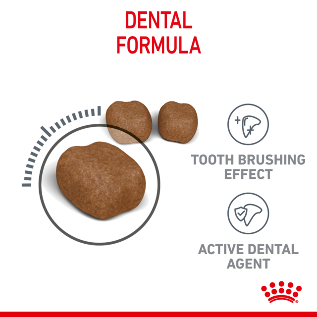 Royal Canin Dental Care Dry Cat Food - Product Image 3