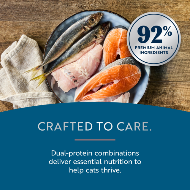 ZIWI Peak Salmon & Chicken Wet Cat Food - Product Image 2